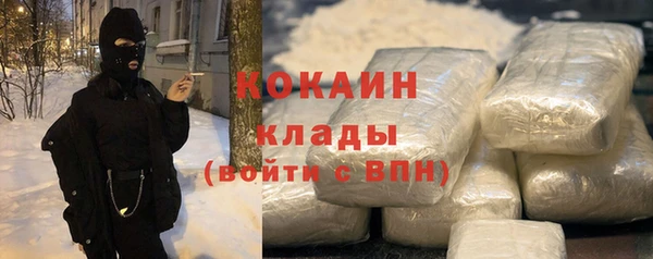 ГАЛЛЮЦИНОГЕННЫЕ ГРИБЫ Новодвинск