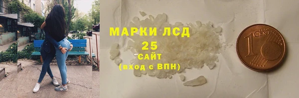 гидра Аша