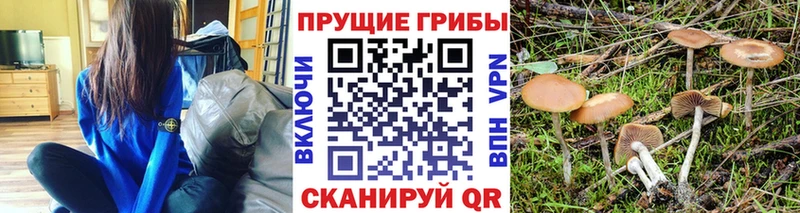 Галлюциногенные грибы мухоморы Архангельск