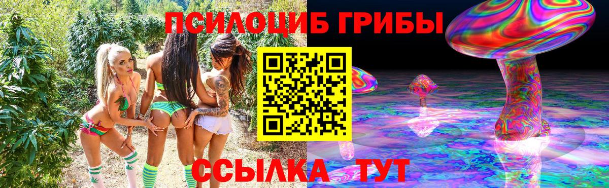Галлюциногенные грибы Cubensis Архангельск